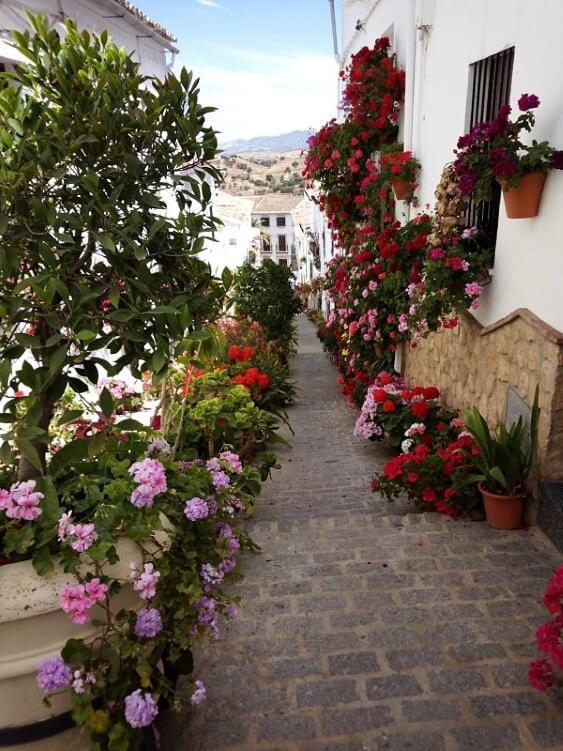 Casa De Las Flores - A Picture Perfect Location! เอลกัสตอร์ ภายนอก รูปภาพ
