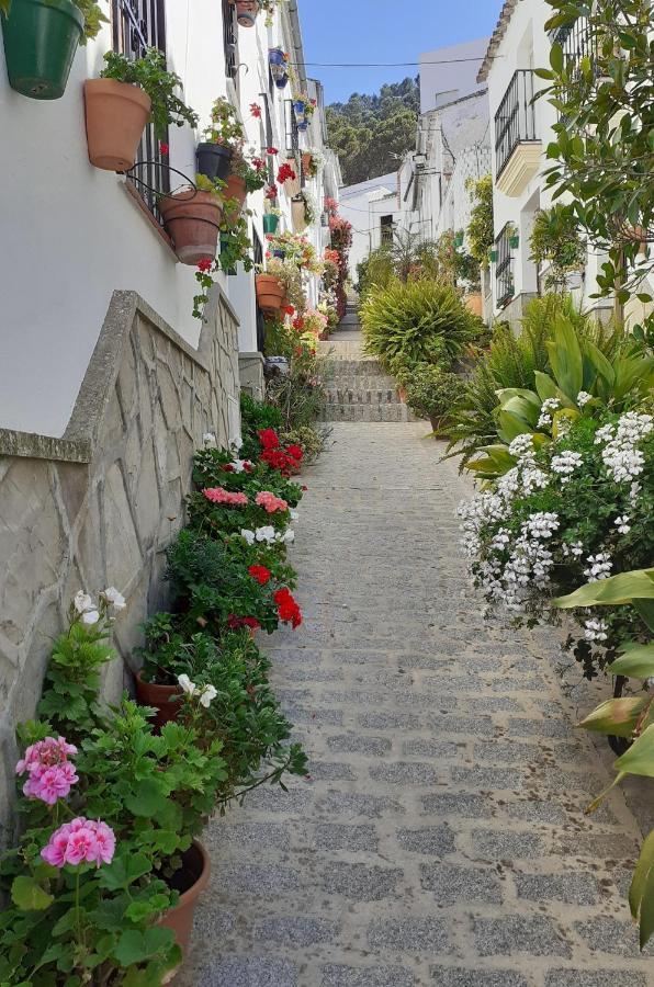 Casa De Las Flores - A Picture Perfect Location! เอลกัสตอร์ ภายนอก รูปภาพ