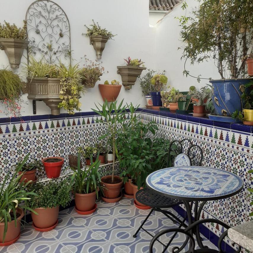 Casa De Las Flores - A Picture Perfect Location! เอลกัสตอร์ ภายนอก รูปภาพ