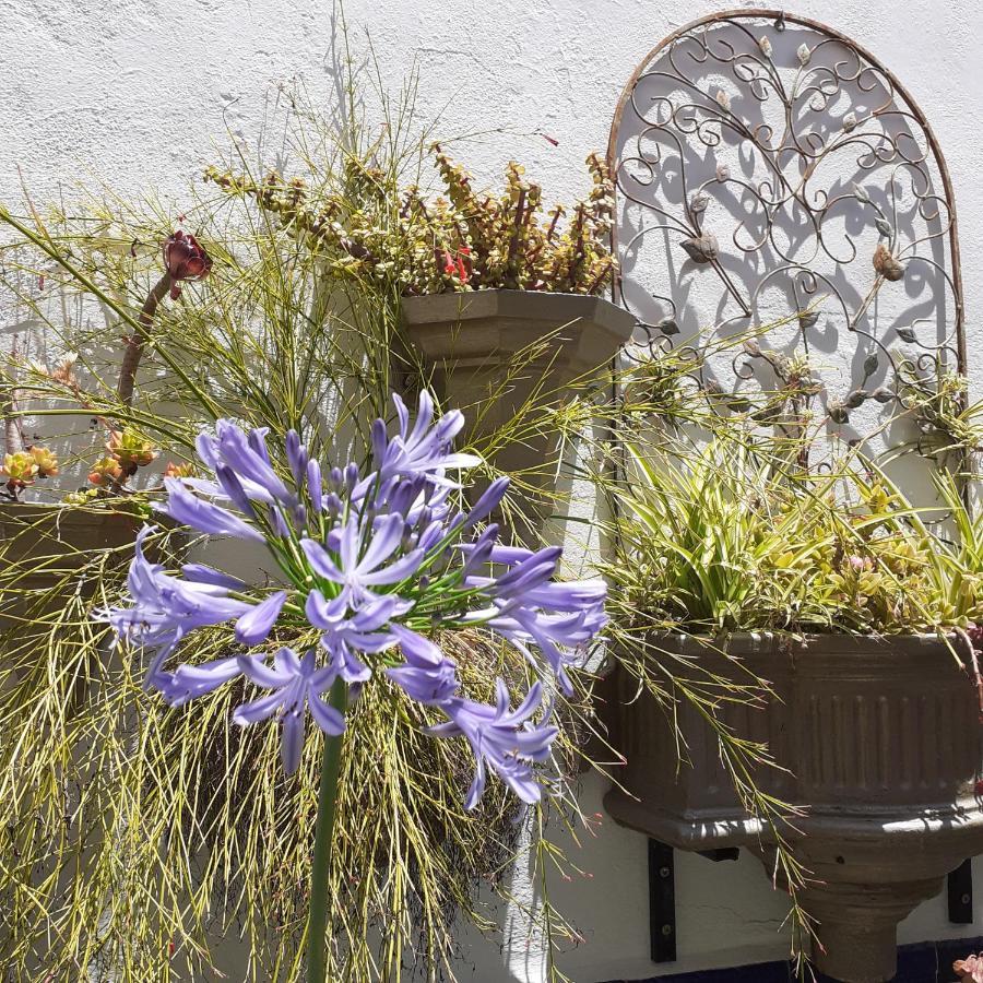 Casa De Las Flores - A Picture Perfect Location! เอลกัสตอร์ ภายนอก รูปภาพ