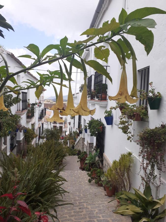 Casa De Las Flores - A Picture Perfect Location! เอลกัสตอร์ ภายนอก รูปภาพ