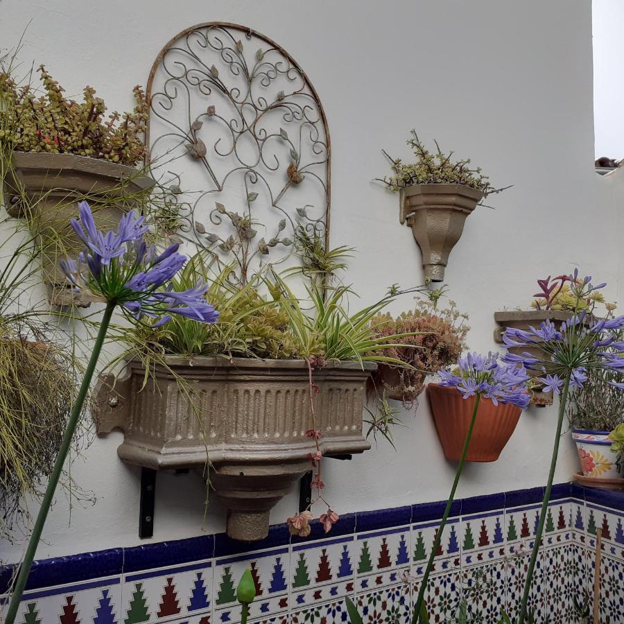 Casa De Las Flores - A Picture Perfect Location! เอลกัสตอร์ ภายนอก รูปภาพ